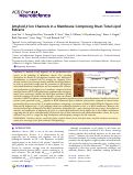 Cover page: Amyloid β Ion Channels in a Membrane Comprising Brain Total Lipid Extracts