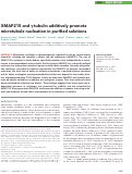 Cover page: XMAP215 and γ-tubulin additively promote microtubule nucleation in purified solutions