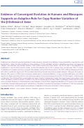 Cover page: Evidence of Convergent Evolution in Humans and Macaques Supports an Adaptive Role for Copy Number Variation of the β-Defensin-2 Gene