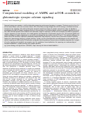 Cover page: Computational modeling of AMPK and mTOR crosstalk in glutamatergic synapse calcium signaling.