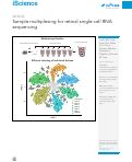 Cover page: Sample multiplexing for retinal single-cell RNA sequencing.