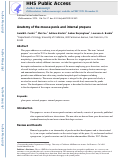 Cover page: Anatomy of the mouse penis and internal prepuce