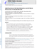 Cover page: Identification of erythroferrone as an erythroid regulator of iron metabolism