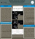 Cover page: Reliability of 2D-Speckle-Tracking for Myocardial Strain Measurements