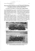 Cover page: Reducing Tristeza Infection of Citrus Seedlings by Repelling Toxoptera citricidus with Rice Husk Mulch