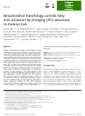 Cover page: Mitochondrial morphology controls fatty acid utilization by changing CPT1 sensitivity to malonyl‐CoA