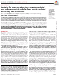 Cover page: Inputs to the locus coeruleus from the periaqueductal gray and rostroventral medulla shape opioid-mediated descending pain modulation