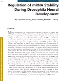 Cover page: Regulation of mRNA Stability During Drosophila Neural Development