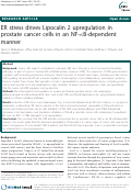 Cover page: ER stress drives Lipocalin 2 upregulation in prostate cancer cells in an NF-kappaB-dependent manner