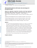Cover page: 3D‐Bioprinted Phantom with Human Skin Phototypes for Biomedical Optics
