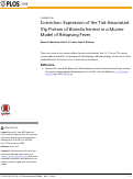 Cover page: Correction: Expression of the Tick-Associated Vtp Protein of Borrelia hermsii in a Murine Model of Relapsing Fever