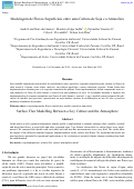 Cover page: Modelagem de Fluxos Superficiais entre uma Cultura de Soja e a Atmosfera