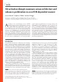 Cover page: Akt activation disrupts mammary acinar architecture and enhances proliferation in an mTOR-dependent manner