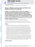 Cover page: Changes of Mutations and Copy-Number and Enhanced Cell Migration during Breast Tumorigenesis.