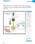 Cover page: Optimized in&nbsp;vivo multispectral bioluminescent imaging of tumor biology using engineered BRET reporters.