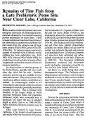 Cover page: Remains of Tiny Fish from a Late Prehistoric Pomo Site Near Clear Lake, California