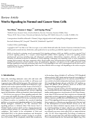 Cover page: Wnt5a Signaling in Normal and Cancer Stem Cells