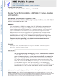 Cover page: Nuclear Factor Erythroid-2 Like 1 (NFE2L1): Structure, function and regulation