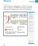 Cover page: Colitis-induced upregulation of tumor necrosis factor receptor-2 (TNFR2) terminates epithelial regenerative signaling to restore homeostasis.