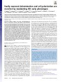 Cover page: Faulty neuronal determination and cell polarization are reverted by modulating HD early phenotypes