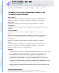 Cover page: Elucidation of the Concise Biosynthetic Pathway of the Communesin Indole Alkaloids