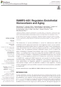 Cover page: RAMP2-AS1 Regulates Endothelial Homeostasis and Aging