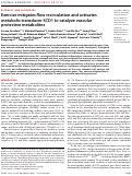 Cover page: Exercise mitigates flow recirculation and activates metabolic transducer SCD1 to catalyze vascular protective metabolites.