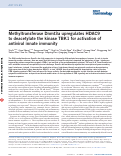 Cover page: Methyltransferase Dnmt3a upregulates HDAC9 to deacetylate the kinase TBK1 for activation of antiviral innate immunity