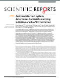 Cover page: An iron detection system determines bacterial swarming initiation and biofilm formation