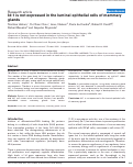 Cover page: Id-1 is not expressed in the luminal epithelial cells of mammary glands