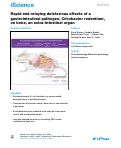 Cover page: Rapid and relaying deleterious effects of a gastrointestinal pathogen, Citrobacter rodentium, on bone, an extra-intestinal organ