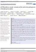 Cover page: mTOR pathway somatic variants and the molecular pathogenesis of hemimegalencephaly