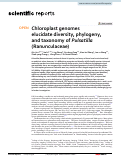 Cover page: Chloroplast genomes elucidate diversity, phylogeny, and taxonomy of Pulsatilla (Ranunculaceae)