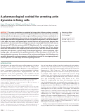 Cover page: A pharmacological cocktail for arresting actin dynamics in living cells