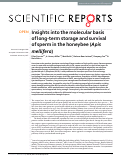 Cover page: Insights into the molecular basis of long-term storage and survival of sperm in the honeybee (Apis mellifera)