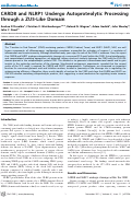 Cover page: CARD8 and NLRP1 Undergo Autoproteolytic Processing through a ZU5-Like Domain