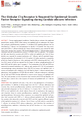 Cover page: The Globular C1q Receptor Is Required for Epidermal Growth Factor Receptor Signaling during Candida albicans Infection.