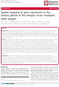 Cover page: Spatial mapping of gene expression in the salivary glands of the dengue vector mosquito, aedes aegypti