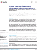 Cover page: Visceral organ morphogenesis via calcium-patterned muscle constrictions