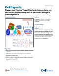 Cover page: Dissecting Fission Yeast Shelterin Interactions via MICro-MS Links Disruption of Shelterin Bridge to Tumorigenesis