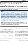 Cover page: Gammaherpesviral Gene Expression and Virion Composition Are Broadly Controlled by Accelerated mRNA Degradation