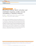 Cover page: Blood flow-induced Notch activation and endothelial migration enable vascular remodeling in zebrafish embryos.