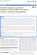 Cover page: Abundant expression of somatic transposon-derived piRNAs throughout Tribolium castaneum embryogenesis