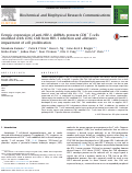 Cover page: Ectopic expression of anti-HIV-1 shRNAs protects CD8(+) T cells modified with CD4ζ CAR from HIV-1 infection and alleviates impairment of cell proliferation.