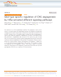 Cover page: Glial type specific regulation of CNS angiogenesis by HIFα-activated different signaling pathways