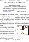 Cover page: Limit Cycle and Anomalous Capacitance in the Kondo Insulator SmB6