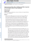 Cover page: Highly conserved base A55 of 16S ribosomal RNA is important for the elongation cycle of protein synthesis.