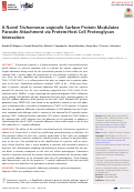 Cover page: A Novel Trichomonas vaginalis Surface Protein Modulates Parasite Attachment via Protein:Host Cell Proteoglycan Interaction