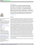 Cover page: An expanded cell wall damage signaling network is comprised of the transcription factors Rlm1 and Sko1 in Candida albicans