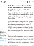 Cover page: RTN3L and CALCOCO1 function in parallel to maintain proteostasis in the endoplasmic reticulum.